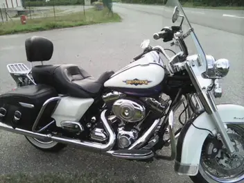 harley-davidson-screamin-eagle-springer-1584-2010-79300-km