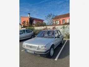 PEUGEOT 309 GL Profil. Agrupacion de Trafico, G. C. ( 1991 PEUGEOT 309 GL Profil. Agrupacion de Trafico, G. C. ( 1991