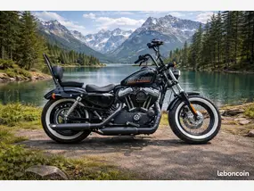 harley-davidson-sporster-1200-roadster-2014-21004-km-1