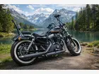 harley-davidson-sporster-1200-roadster-2014-21004-km-2