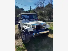 jeep-cj5-1987-manual-180000-km-essence-1