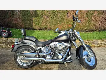 harley-davidson-fat-boy-1584-2009-31800-km