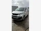 peugeot-expert-iii-fourgon-2019-manual-65000-km-diesel-2