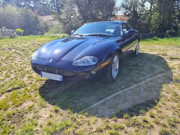 JAGUAR