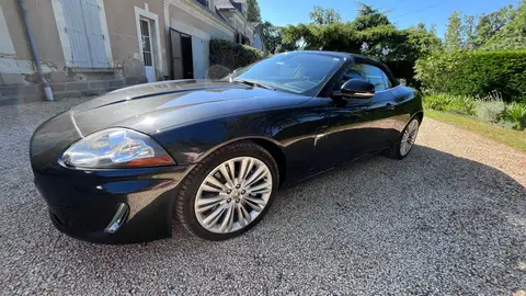 JAGUAR XK