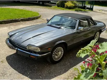 JAGUAR