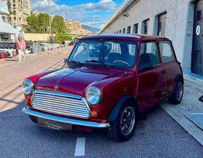 ROVER MINI