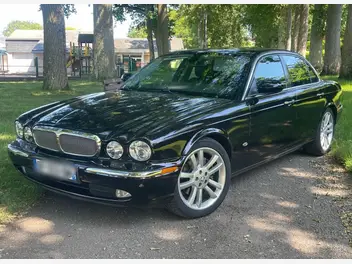 JAGUAR