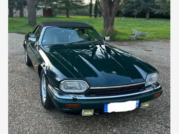 JAGUAR