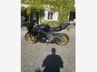 triumph-daytona-675-2008-32000-km-2