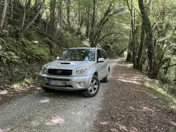 toyota-rav-4-ii-phase-2-2006-manual-299999-km-diesel