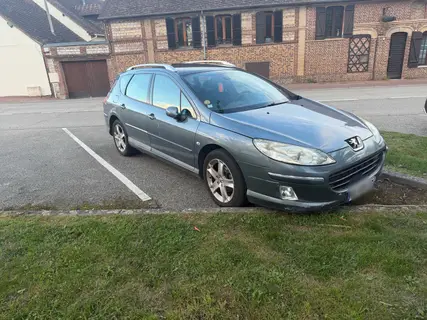 PEUGEOT 407