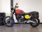 triumph-scrambler-1200-2022-manual-2238-km-essence-2