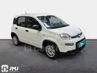 fiat-panda-iii-phase-2-2023-manual-22439-km-essence-2