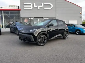 BYD