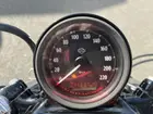 harley-davidson-sportster-1200-forty-eight-2019-manual-7725-km-essence-2