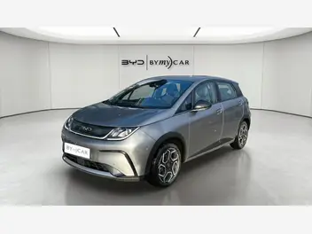 byd-dolphin-2025-auto-8000-km-électrique