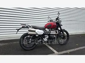 triumph-scrambler-1200-2024-manual-10074-km-essence-1