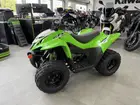 kawasaki-kfx-2025-auto-10-km-essence-3