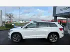 skoda-kodiaq-rs-2019-auto-123780-km-diesel-3