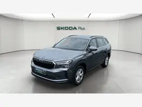 skoda-kodiaq-ii-2025-auto-24600-km-diesel-1