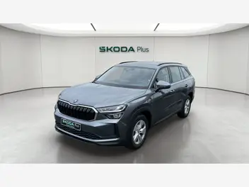 skoda-kodiaq-ii-2025-auto-24600-km-diesel
