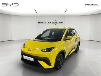 byd-dolphin-surf-2025-auto-8000-km-électrique