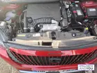 peugeot-2008-ii-2024-auto-11236-km-essence-2