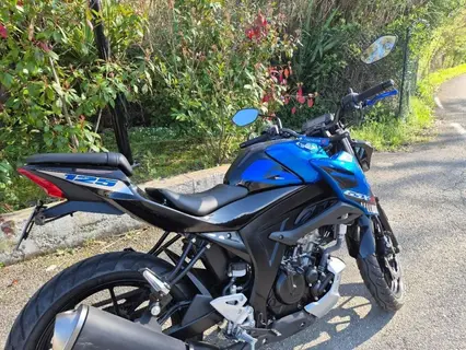 SUZUKI GSX-S