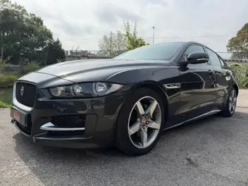 JAGUAR