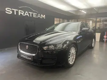 JAGUAR