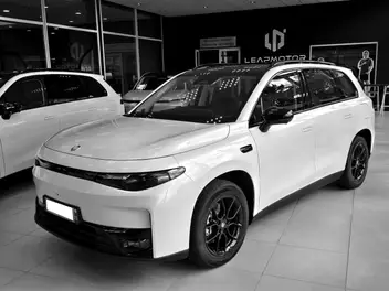 LEAPMOTOR