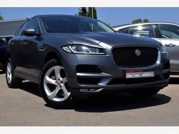 JAGUAR