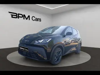 BYD