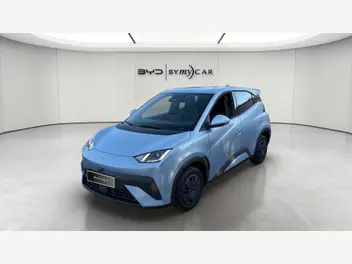 BYD DOLPHIN SURF 88 CH ACTIVE 30 KWH
