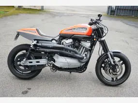 harley-davidson-sportster-1200-iron-2010-11000-km-1