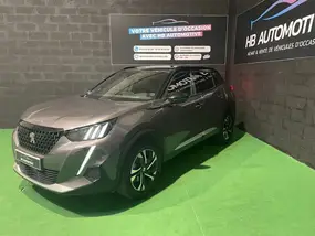 peugeot-2008-ii-2023-auto-51330-km-diesel-1
