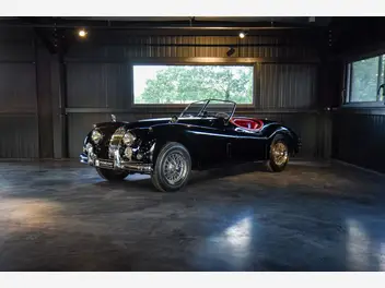 jaguar-xk-1956-manual-11294-km-essence