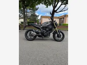 benelli-leoncino-800-2026-1-km-1