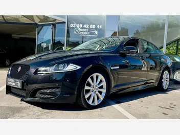 JAGUAR